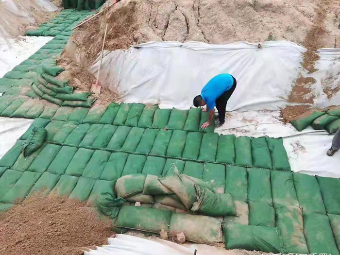 護坡選擇之生態(tài)袋