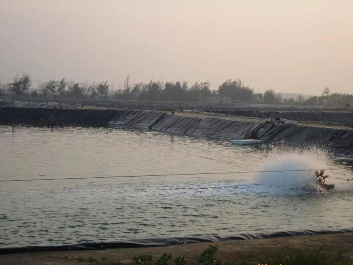 環(huán)保材料之防滲膜